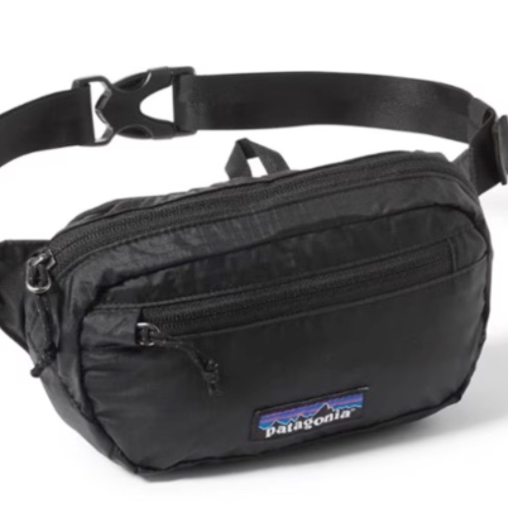 Patagonia Lightweight Black Mini hip pack